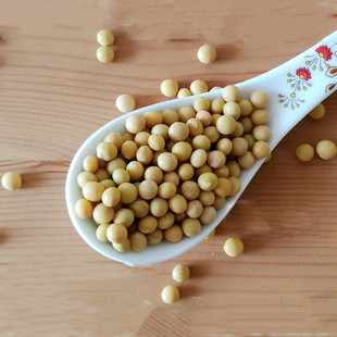 ��؛�l��ѿ�S�����S��ѿ���S���{��5�� �r���ԷN690С��