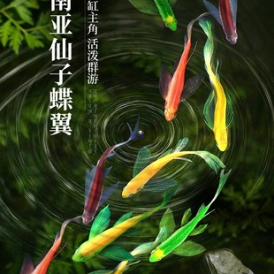 ���R�~�Ꭷ��ˮ�^�p�~����С�~������t�G����ȸ���BС�ͻ��w����