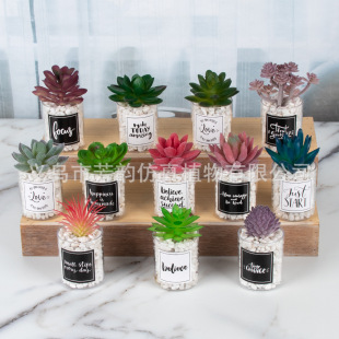 in stock Fleshy Creative Sticker Plastic Bonsai Cross-border Indoor Balcony Ins Style Small Ornaments Fleshy Simulation Potted Plant