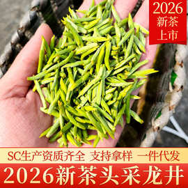 2026新茶上市明前头采龙井茶浙江龙井全嫩芽散装绿茶批发货源直销