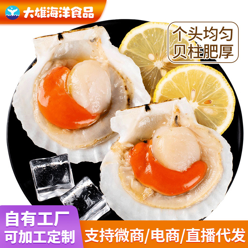 鲜冻半壳扇贝肉夏威夷贝烧烤半壳扇贝冻品夜市商用批发