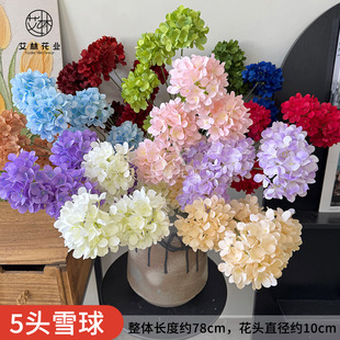 5�^ѩ����滨�����ǽ����c·���廨 �����b����l�S�һ�Y����