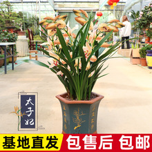 ���F���ܝ�������ī�m���m���m�ļ��҃Ȼ��ܾGֲ����