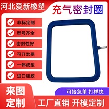 硅胶充气耐高温抗撕裂进口密封圈气囊截面方形圆形异形充气密封圈