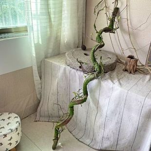 ���������̦̦�\��Ƥ�ֹ��@���b��������Ꭷ����ֲ���Ƥ�[��