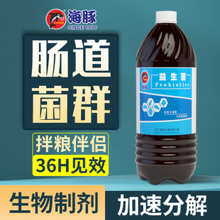 Dolphin active beneficial turtle bacteria embacteria fish tank concentrated EM stock solution probiotic fertilizer lactic acid bacteria aquaculture digestion