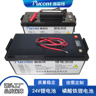 定制大容量50ah100ah鉛改鋰家用二輪電動車磷酸鐵鋰電池價格