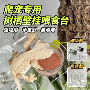 R�ّҒ�ʽʳ����ƄӴ��F�䗫�޽��،m���� ����ʳ�������P��ˮ��