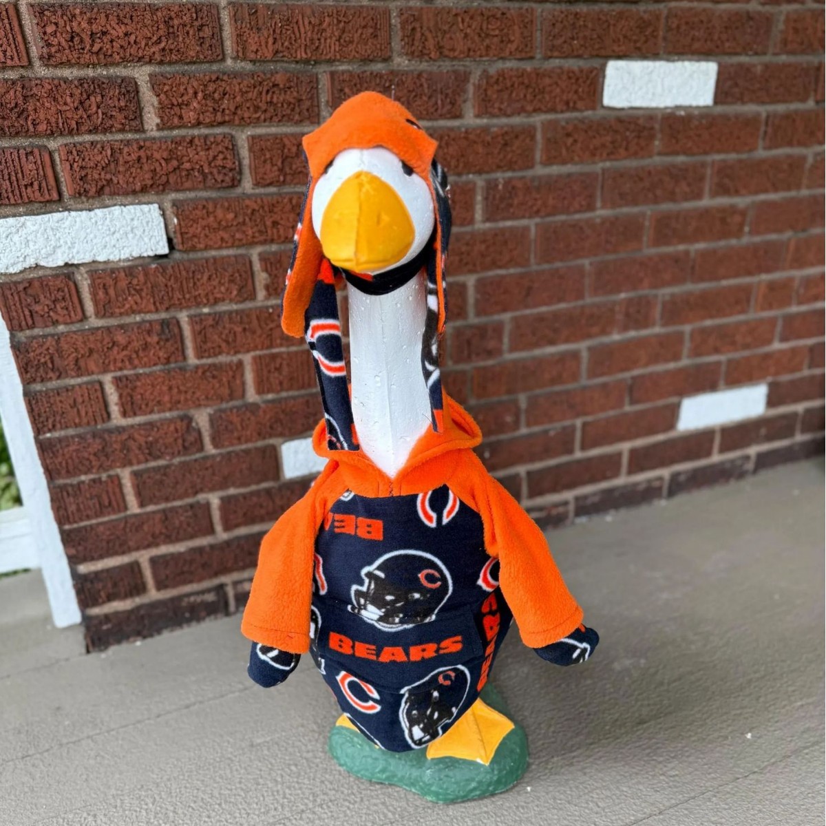 Cross-Border New Product Porch Goose Team Clothing: Hooded Sweatshirt Suitable for 23inch and 17inch