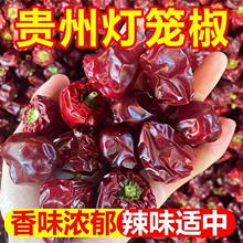 �F���𽷸� ���������ø� ��؛�����C���r���x�خa�A�������G�l��
