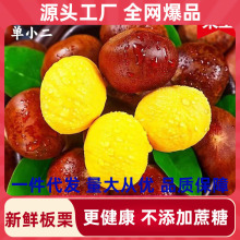 2025���°��������r�r�Ү����Fժ�������������������߲˰���