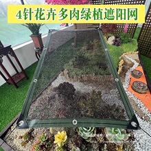 ��ꖾW��4ᘺ�ɫ������̫ꖷ��񲼴��������ꖲ�͸��ڲ�