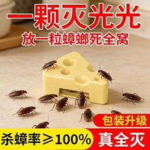 ֱ�N���֚���D�� �����������T�����ș ���ó���󯚢�x��c201