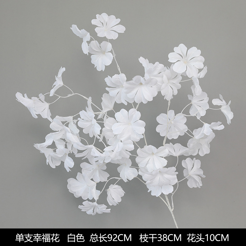 Flor de la felicidad individual