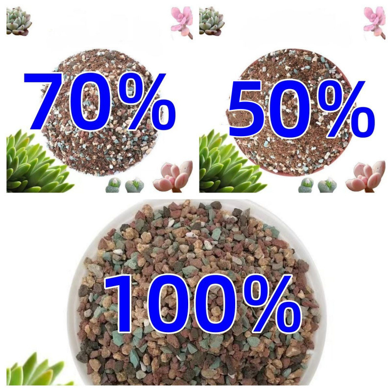 [다육성 일반 입상 토양] 입자가 균일하고 통기성이 있으며 뿌리 부패가 없습니다.