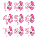 13pcs铝模数字乳胶气球生日数字组合宝宝生日派对装饰气球套装