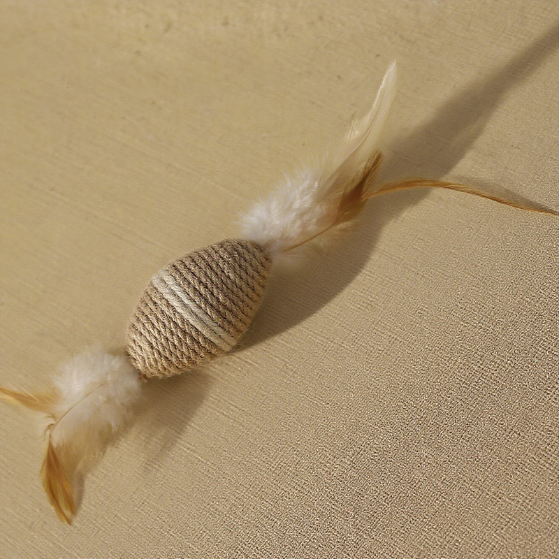 Feather Rugby