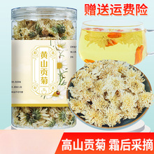 蒲公英茉莉花桂花金银花玫瑰花贡菊茶枸杞菊花决明子茶白菊花花茶