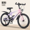 Bike shifter (brake handle), fuchsia bike spokes, headlights