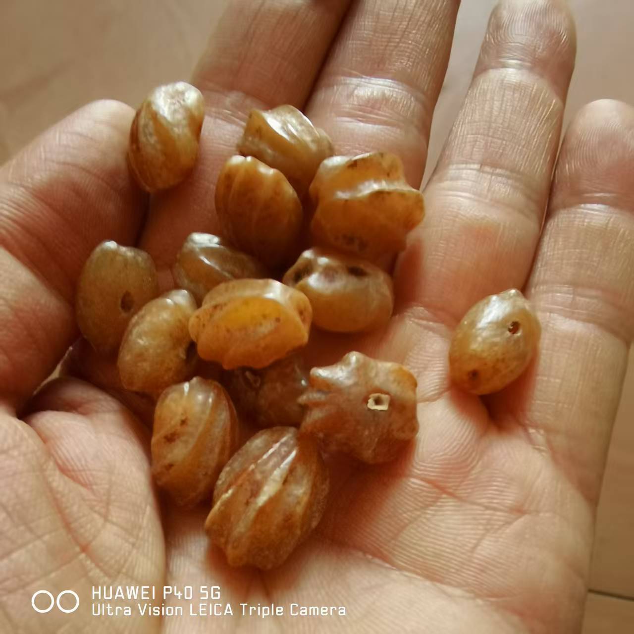 Dragon Spine Bodhi wholesale Buddhist prayer beads, loose beads, live stream source, price per kilogram