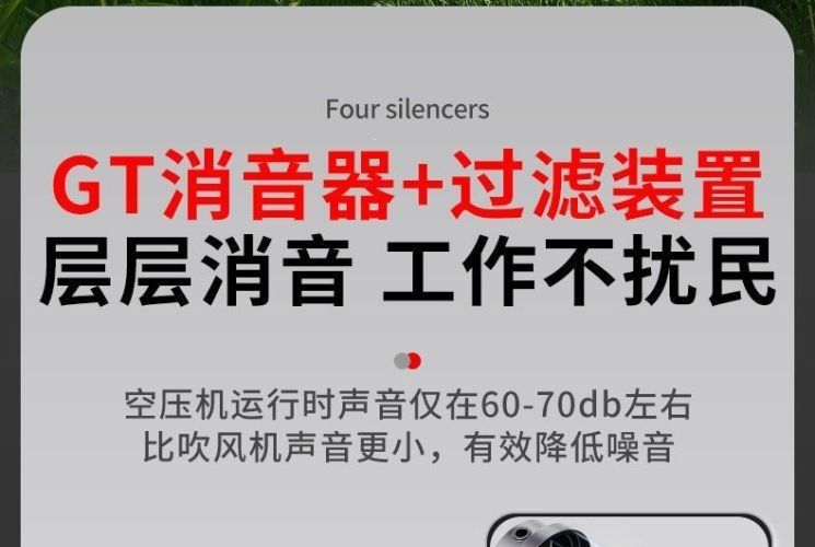 Ruicheng air compressor small air compressor oil-free silent 220V woodworking painting air pump