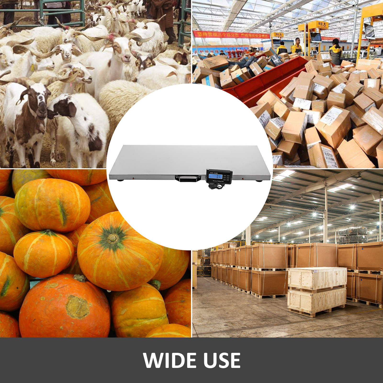 大型宠物体重称