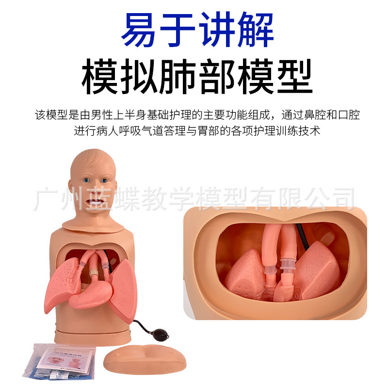 ��θ�������ܻ���ģ�ͱ��ǹ�ģ���п���̵ѵ�����ܲ��ϴθ��θ��