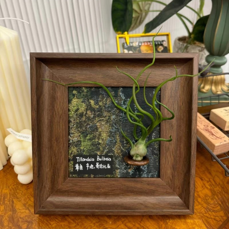 エアパイナップル装飾画リビングルーム玄関装飾品ソフト装飾緑の植物装飾画磁気フォトフレームニッチレトロ|undefined