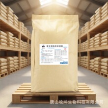 ���̷�40�������̷���������������С��������̷�����̷�