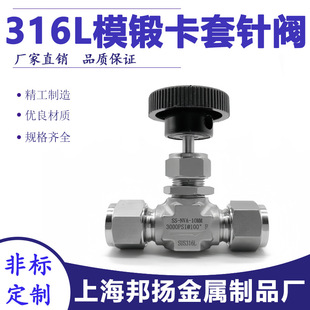 316Lĥ呿�����yӢ�Ʒ�������ֹ�y3000psi��Դ�x�������{���y
