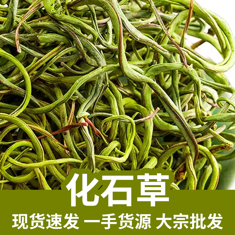 Golden Grass Hua Shi Cao 化石草 Dried Herbal Tea 500g Traditional Kidney Herb Blend key features