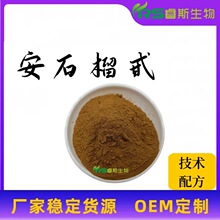 ��ʯ��߰ /��20%30%40% ʯ����ȡ��65995-63-3ˮ��ԭ�Ϸ�  ����