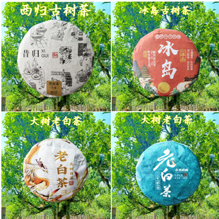 �ն������l100��С������SC���S�������w���u�ϰײ�����ײ�