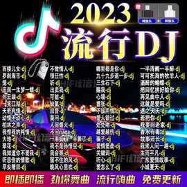 2023新歌曲DJ歌曲U盘热门网络流行中文DJ榜单无损音乐车载MP3包邮