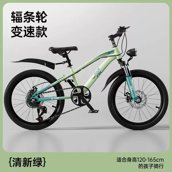 Fresh bike shifter (brake handle), bike spokes