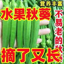 NӡSNļ߮aSr̨ͥԺ߲˷N