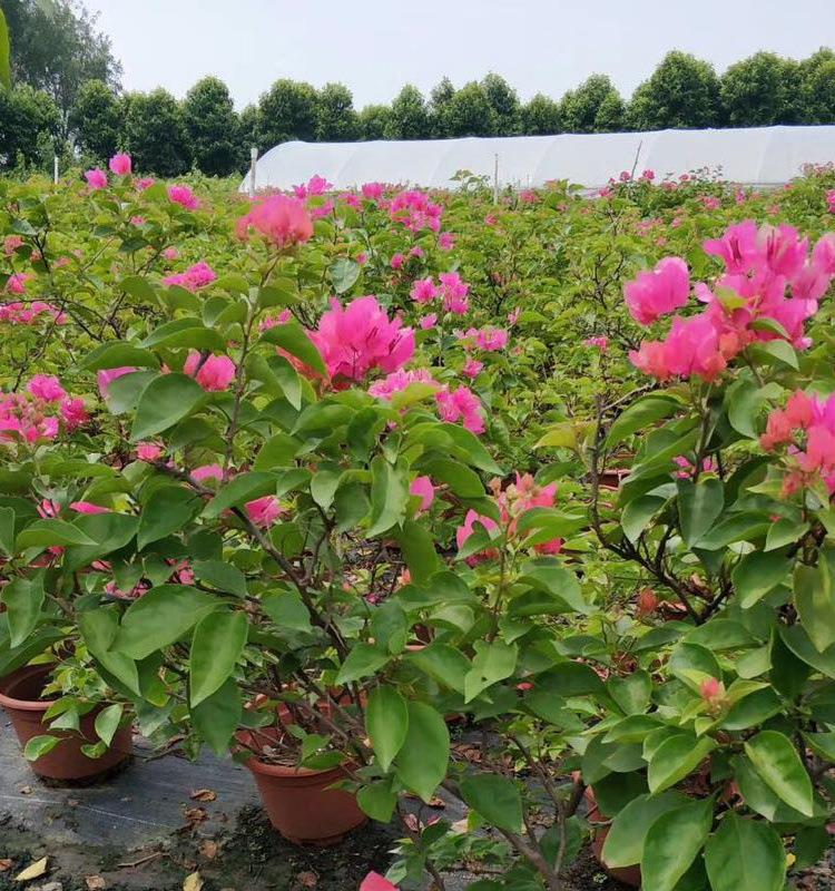 微信图片_20190814100334_看图王