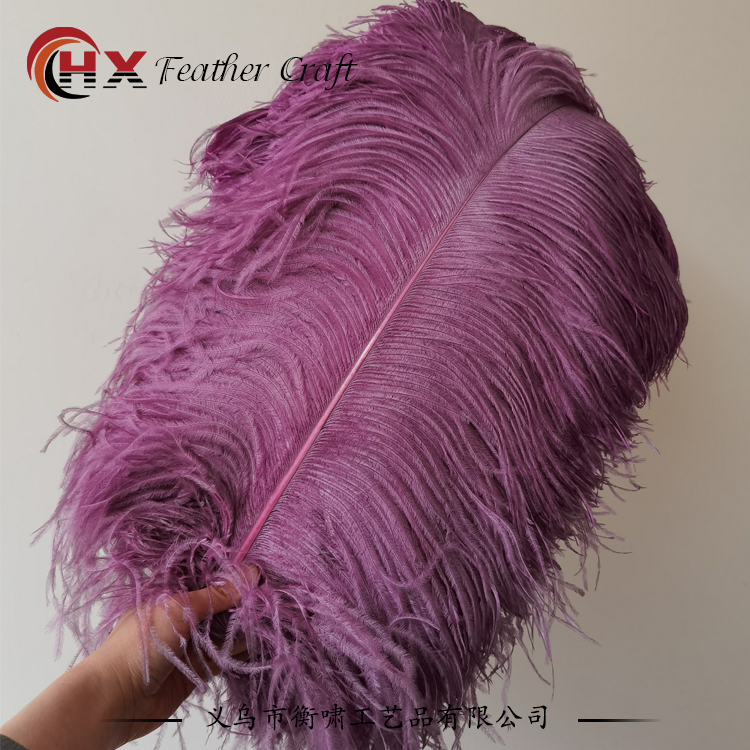 Plumas de avestruz DIY red ins rosa de avestruz accesorios de fotografía de camello adornos de plumas de boda decoración