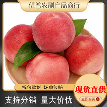 优普陕西水蜜桃子毛桃新鲜水果 非阳山毛桃春雪脆桃10斤包邮