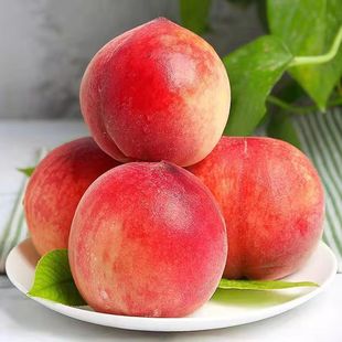 ���ˮ�������rˮ���Fժ�������ӑ����ЋD�r������ܛë�Ұ��]��ˬ