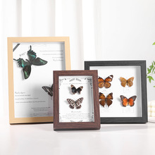 木质玻璃中空2cm立体相架手工DIY蝴蝶昆虫标本复古相框摆台