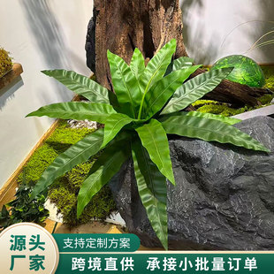 ����Gֲ�B���~�����ָ�ާ�~�Ҿ��b��c�ٻ����ߙ����쾰�Ӱ��g