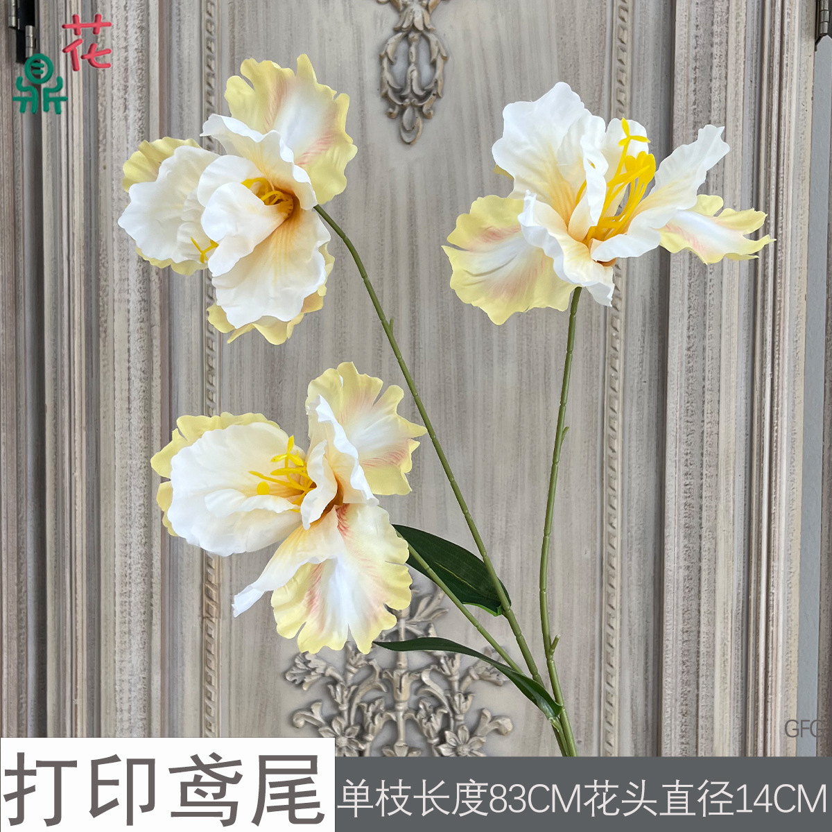 In Iris GFG Màu Vàng