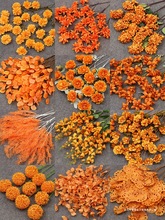 ֦�b��ɫϵ���Ļ�c·���廨�����b�ˇ��Y�ٻ���ɫ��