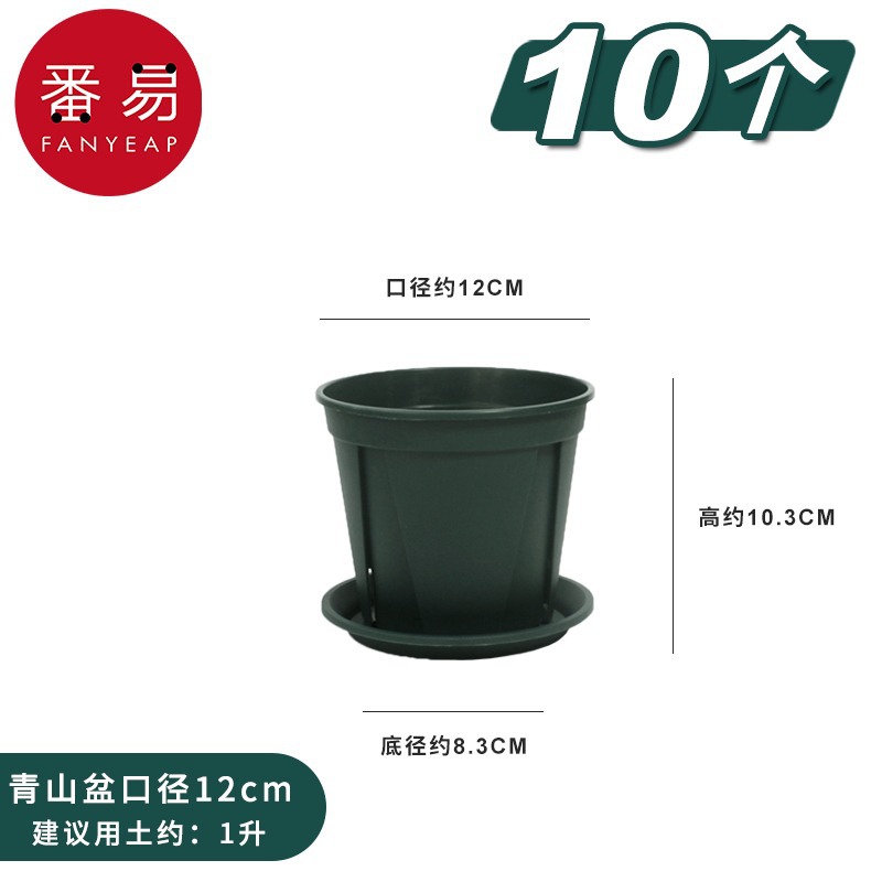 Upper diameter 12cm 10 pieces