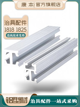 ���ЙCе������ξ�������ֲ��X�Ͳ�1818�p�� 1825���� ���I�X�l