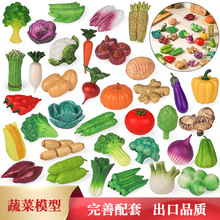 仿真实心蔬菜模型香菜紫薯莲藕茄子黄瓜洋葱土豆生姜菠菜包菜苦瓜