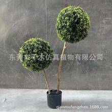 仿真棒棒糖球树小叶女贞球树仿真柏树球球树球型植物盆栽高端落地
