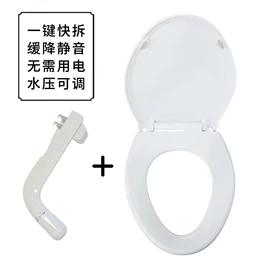 智能马桶盖;普通马桶盖;马桶喷枪