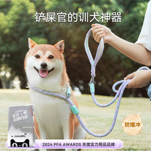 Dog Walking Rope Fresh Contrast Color Comfortable Grip P Rope Explosion-proof Small Dog Teddy Pet Traction Rope